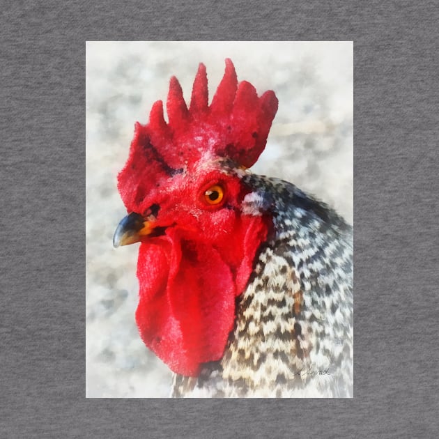 Chickens - Portrait of a Rooster by SusanSavad